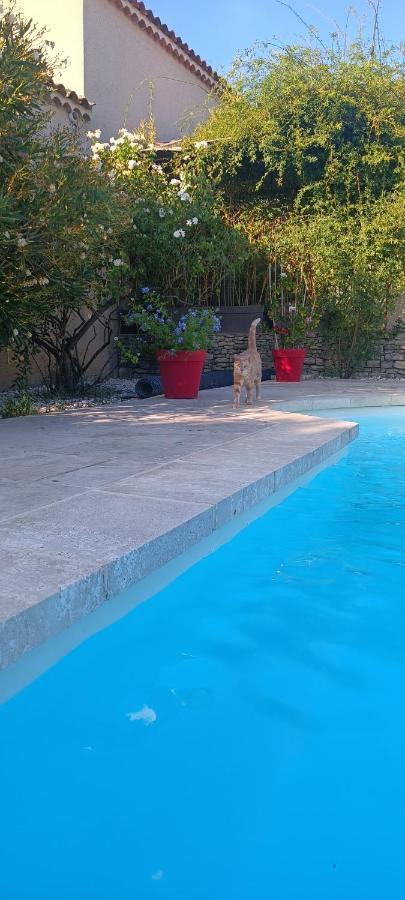 Le Petit Mazet Holiday home Montfaucon (Gard)